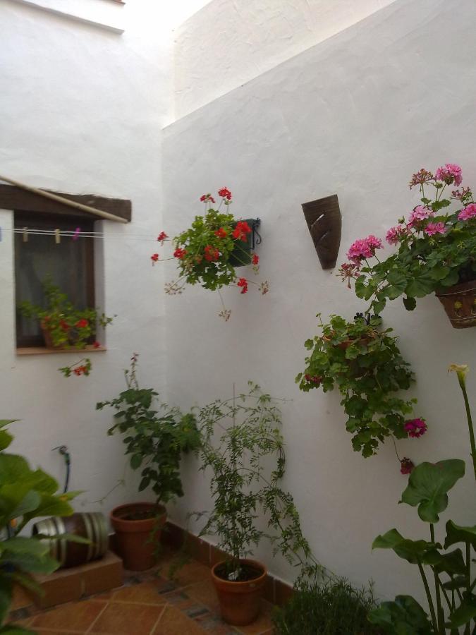Casa Los Tres Aires El Rocío Eksteriør billede